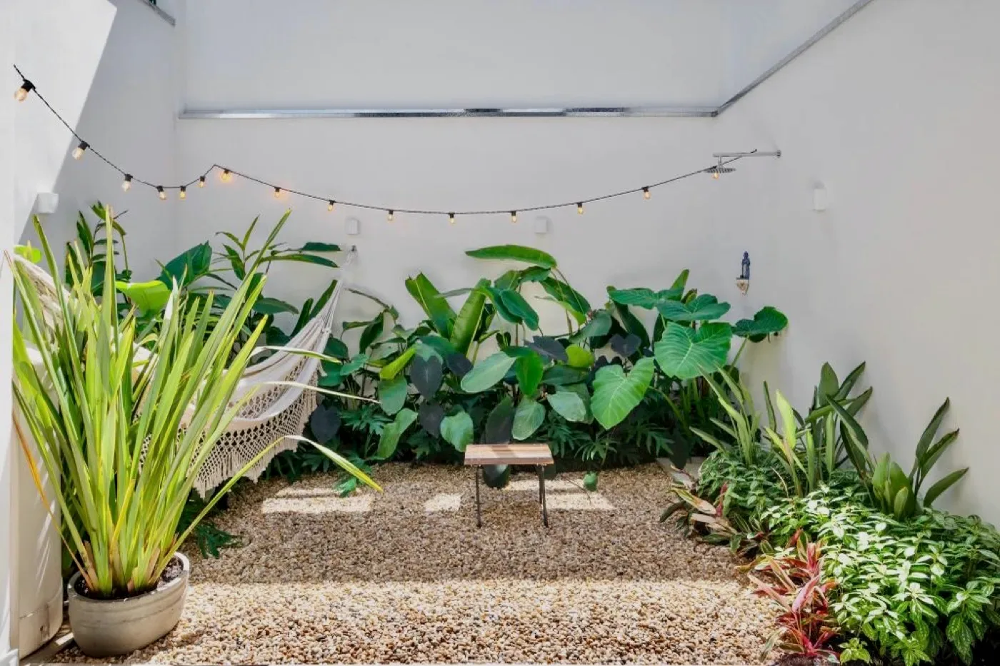 Jardim interno com pedrisco, vegetação e varal de luzes